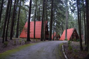 Вилно Селище Малина