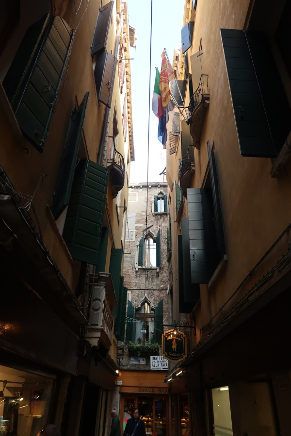 Венеция, сгради, прозорци и знамена